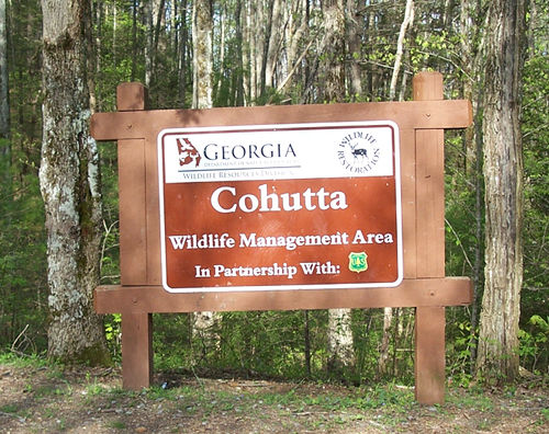 Cohutta Wilderness